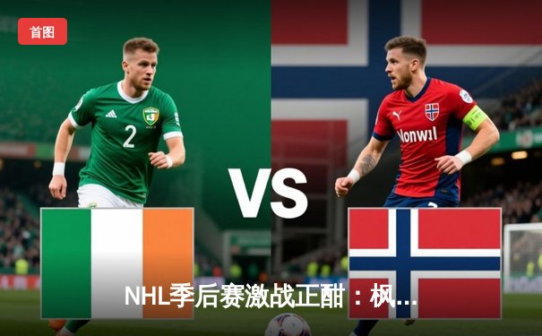 NHL季后赛激战正酣：枫叶队加时绝杀闪电队，系列赛悬念再起